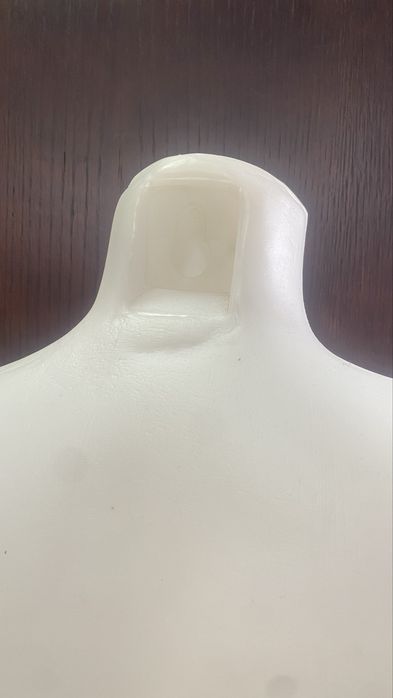 Busto masculino ou feminino