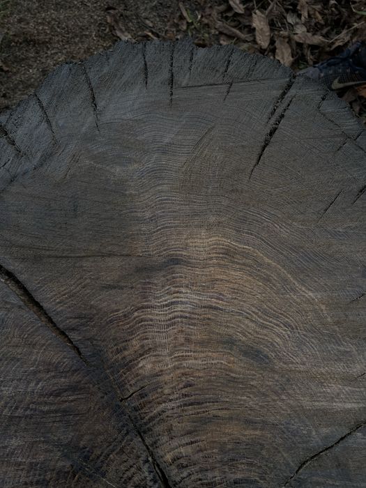 Слеби  морений дуб