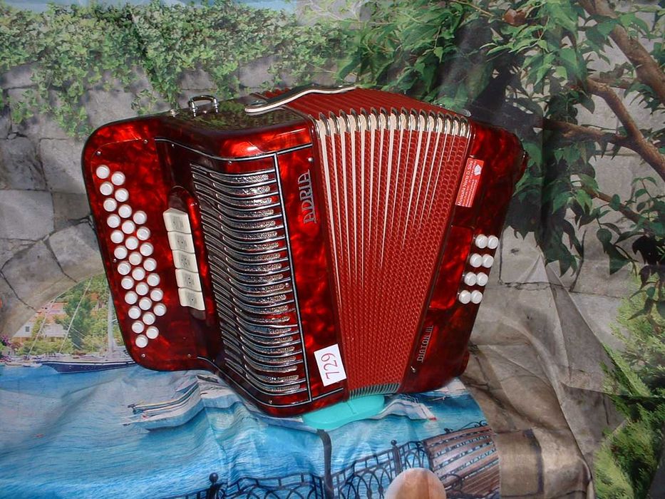 Concertina a venda n.729