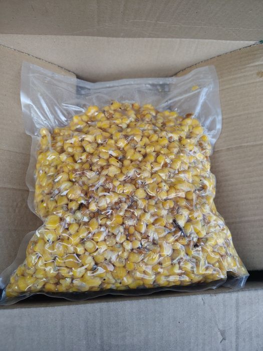 Kukurydza gotowana 20 kg