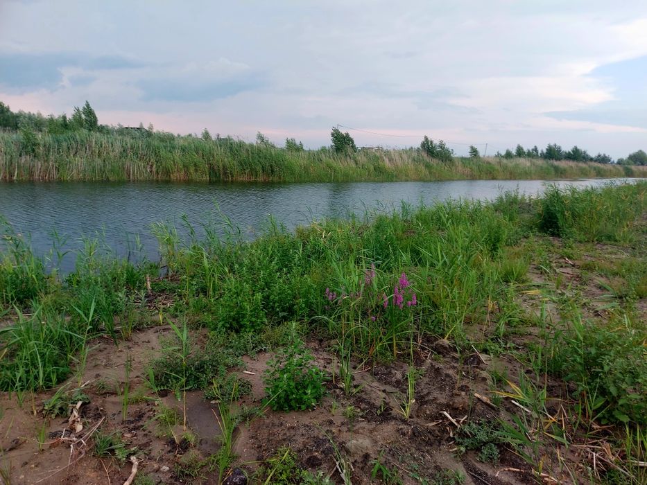 Живописна ділянка в с. Коробівка