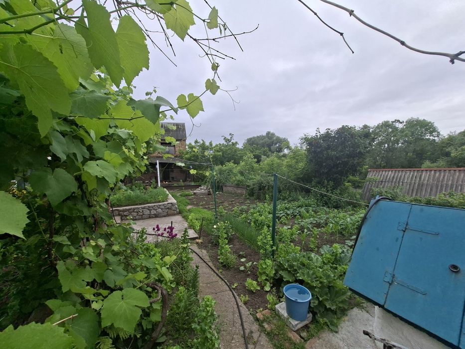 Продам пол дома Б.балка.отд двор. - View 3