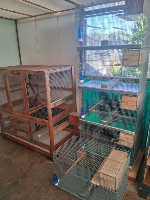 Vendo 5 viveiros 70×40 com pouco uso, mais dois viveiros em madeira. Mais máquina de limpar sementes