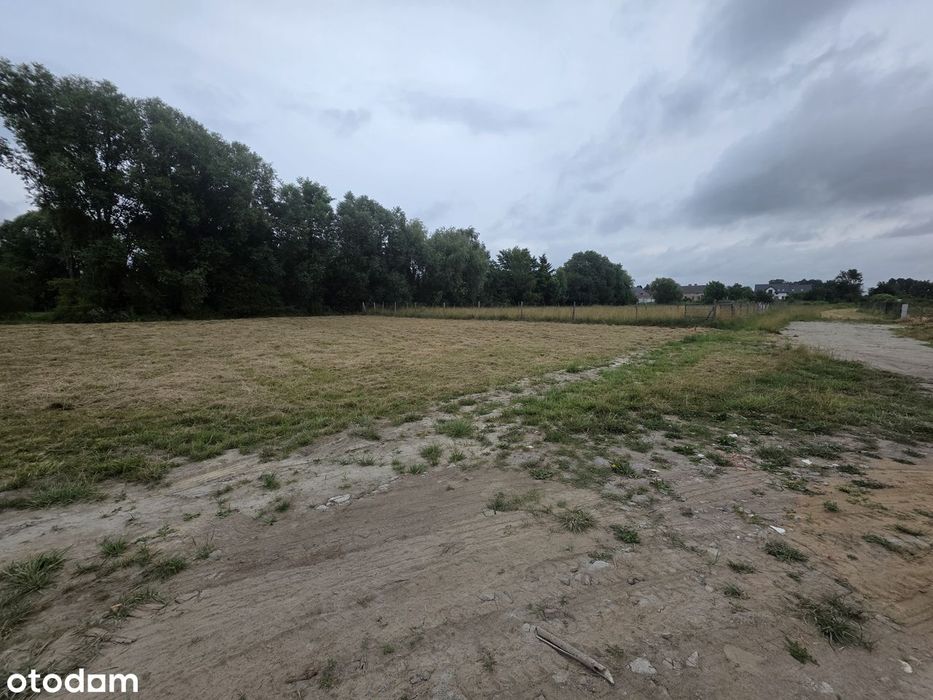 PIĘKNA OSTATNIA Działka Kórnik(Mościenica)las,jezioro,cisza,prywatnie - Widok 2