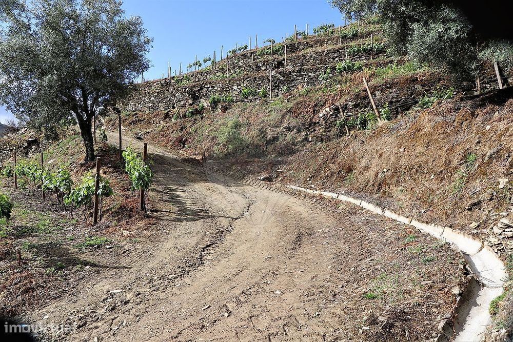 Quinta  para venda — Poiares E Canelas, Vila Real