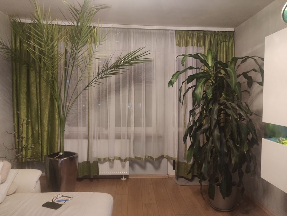 Firany, zasłony komplet. Zielone