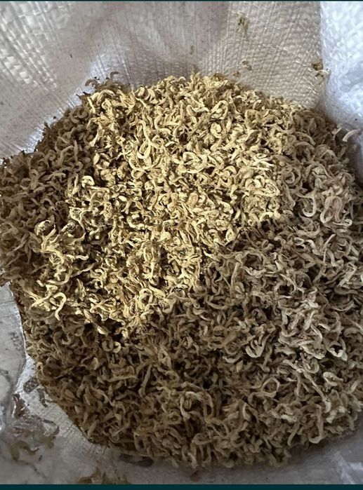 Продам сухий цвіт глухої кропиви (яснотки білої)