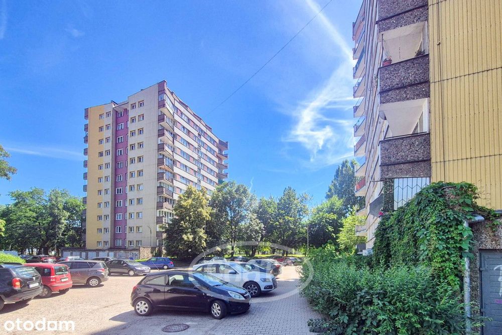 Kawalerka/centrum/ ul. Kamienna/winda