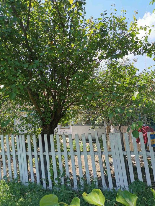 Будинок 100 м² на 1 га землі | Баня | Колодязь | Житомирська обл. | 15 000 $