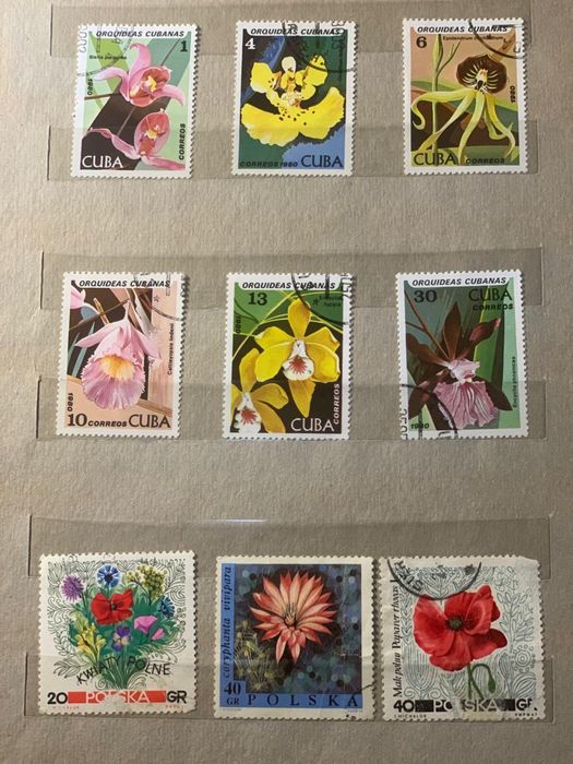 Поштові марки «Фауна»