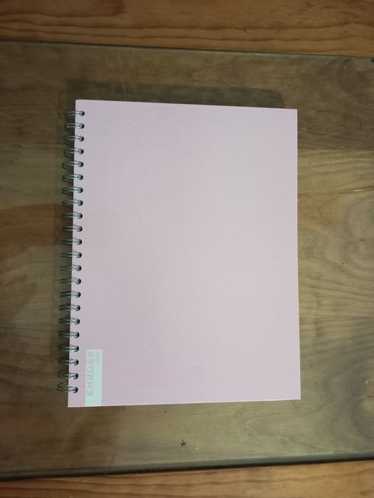 Cadernos (varias cores)