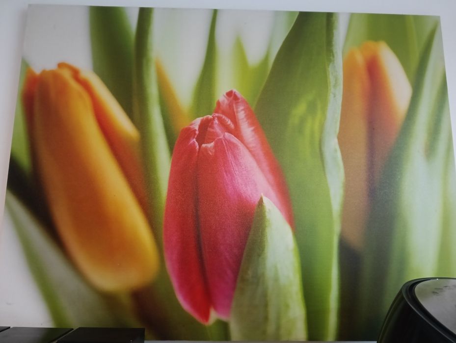 Duzy piękny obraz 112x85