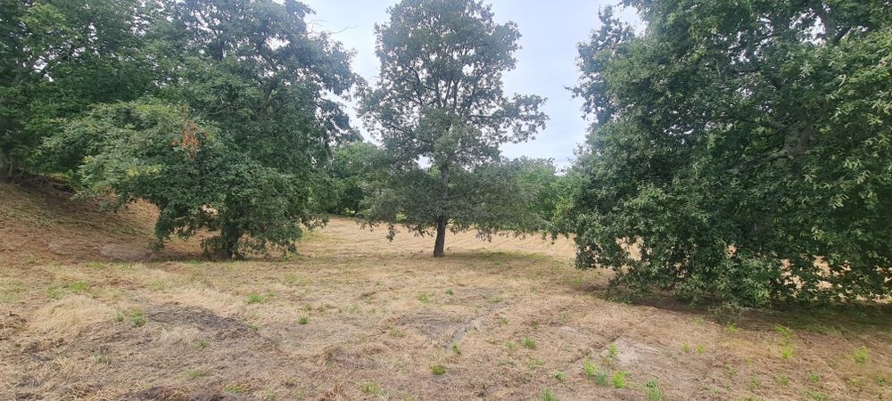 Permuta ou venda 3600m2 Terreno de construção