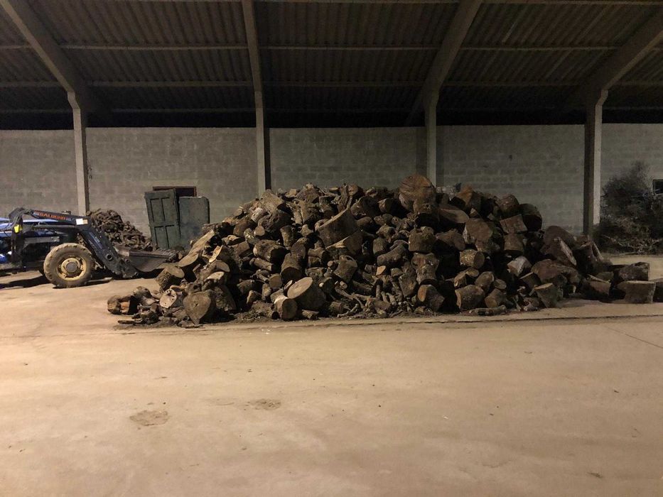 Lenha, madeira Azinho Sobro Oliveira Pinho Eucalipto