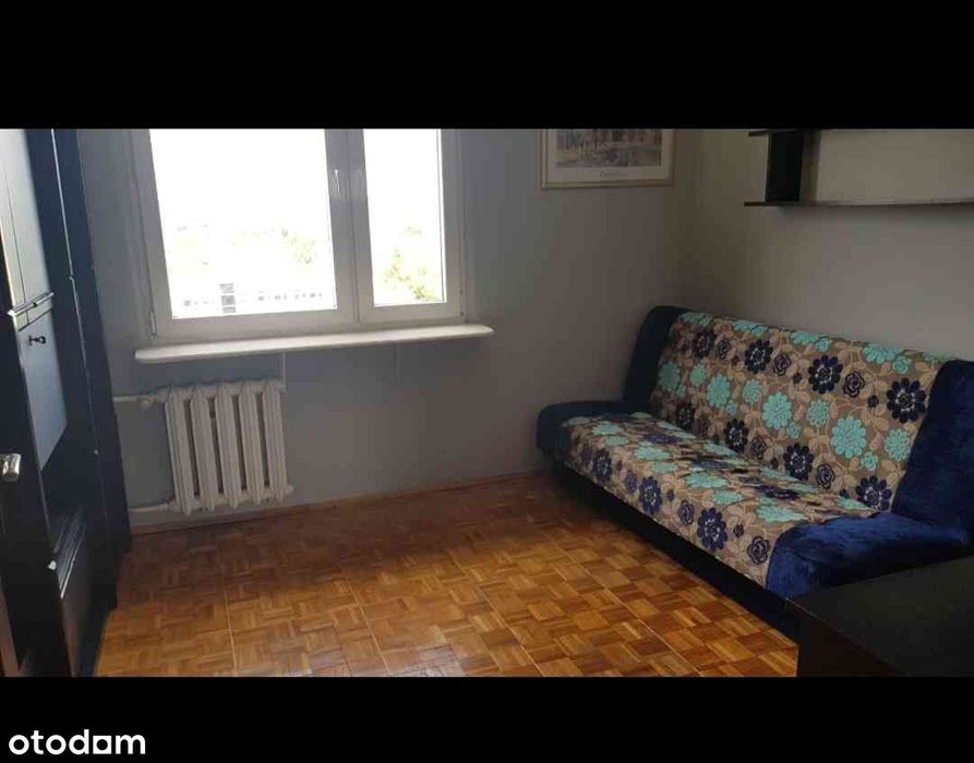 Zdjęcie 5