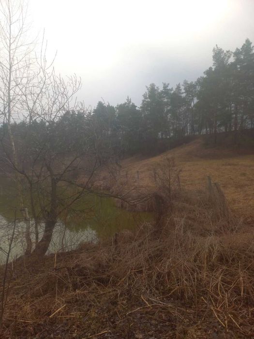 Продається земельна ділянка в смт. Стрижавка 6828
