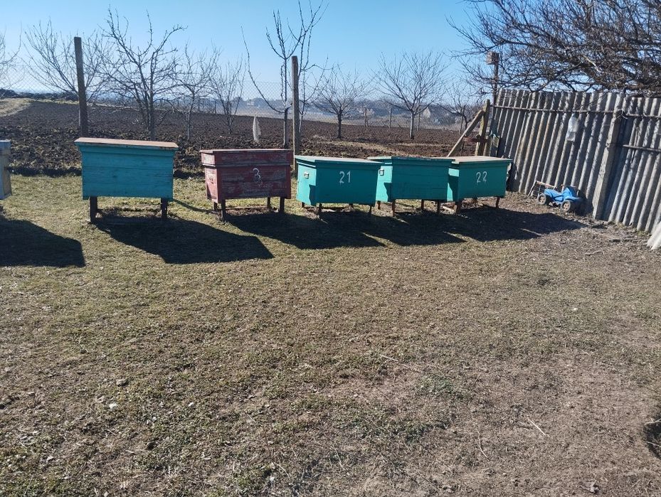 Продам вулики для пчіл
