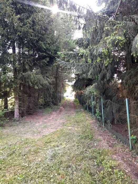 Działka Hryniewicze - Widok 2