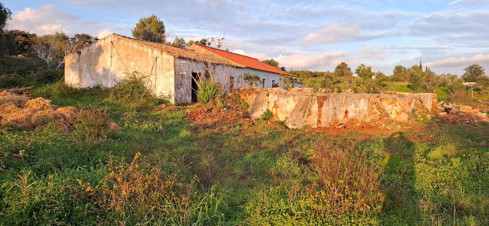 Quinta em Silves 1.5h