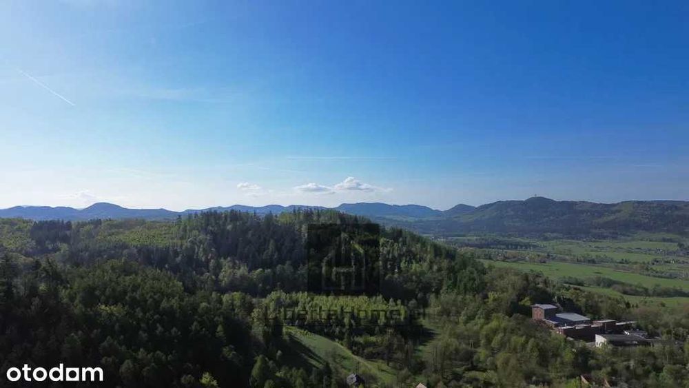 Dzialki budowlane 60zl/m2 Boguszow Chełmie Mniszek bez Prowizji 4367m2