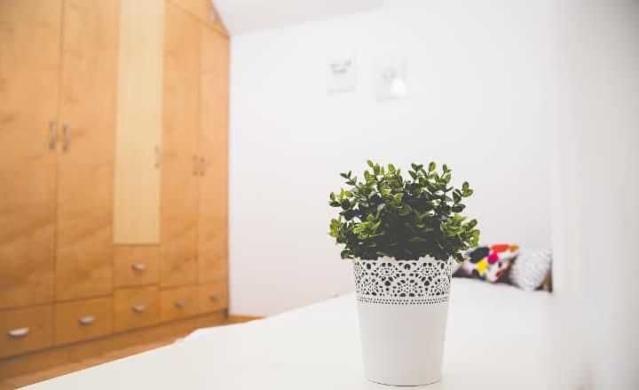 Apartment in Kraków, Osiedle Bronowice Nowe, Bronowice - Widok 5