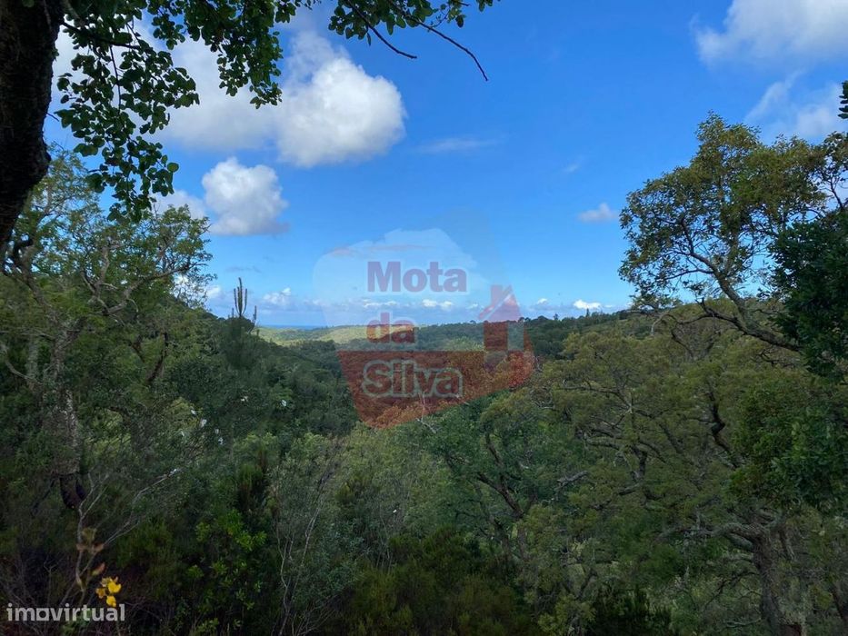 Terreno rústico com vista de serra e mar — São Francisco da Serra, Setúbal