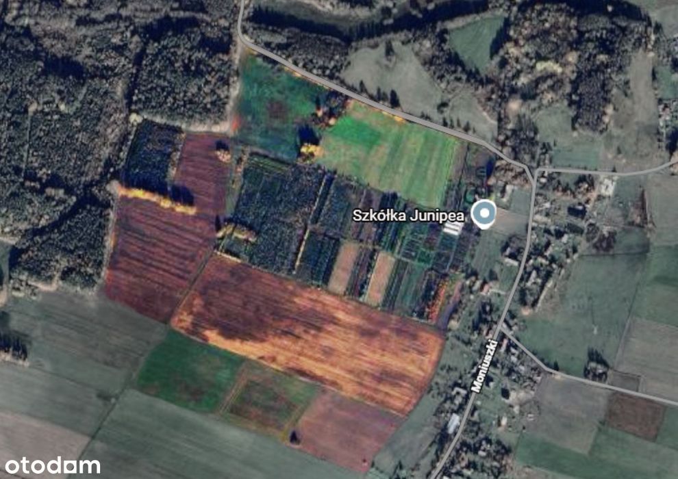 80 ha ziemi rolnej na sprzedaż – Olszyniec, gmina Żary