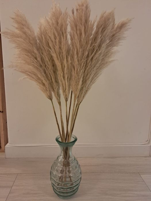 jarra de vidro em bom estado