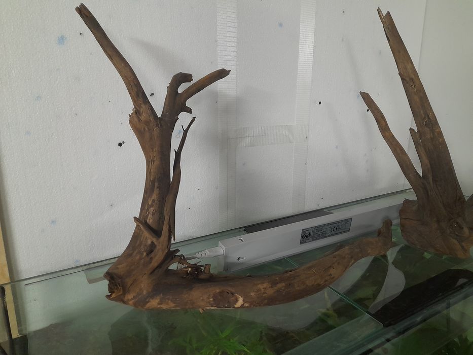 Korzenie do akwarium , naturalne