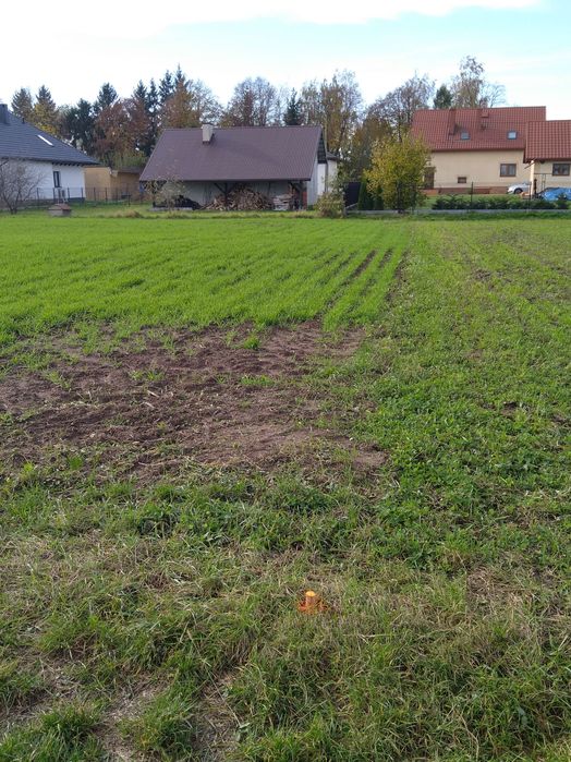 Działki budowlane 8,75 ar z warunkami zabudowy w Borowej pow. Mielecki