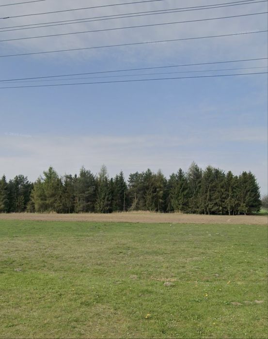 Zdjęcie 6