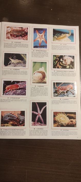 Caderta de cromos completa
