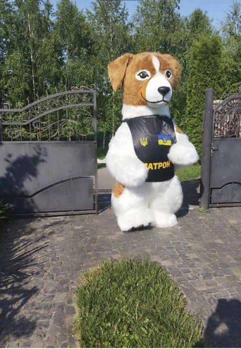 Ростовий костюм ПесПатрон, вживане