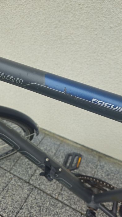 Rower Focus Wasgo rozmiar XL