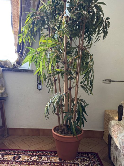 2 artificial bamboo plants with terracotta pots, great realistic look.