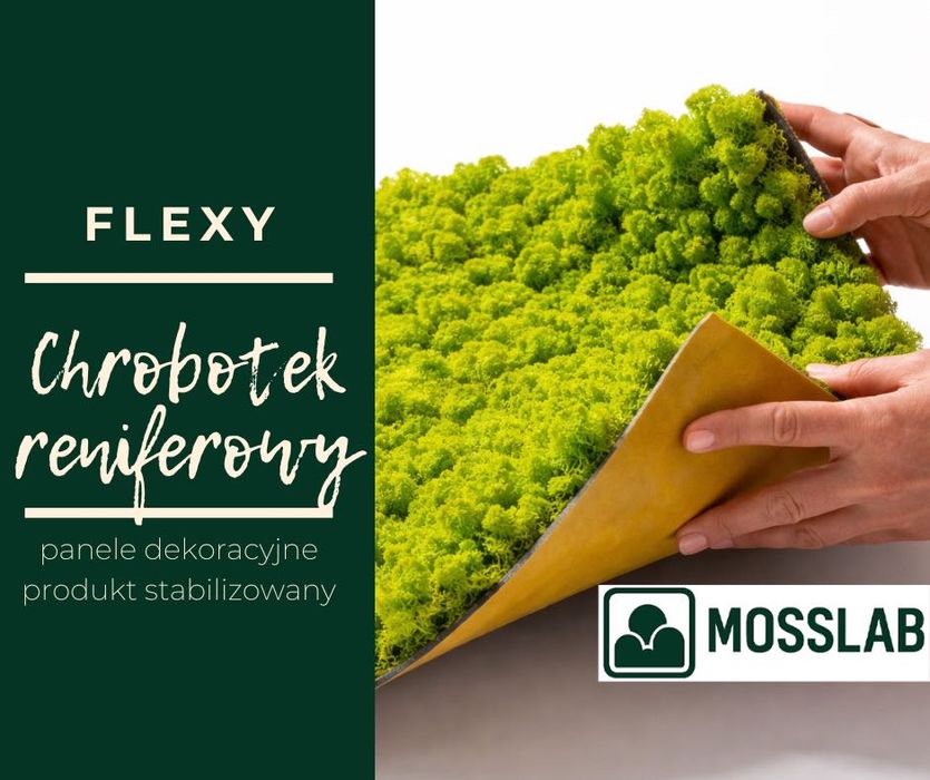 Chrobotek reniferowy FLEXY, panele dekoracyjne z mchu 50 x 50 cm