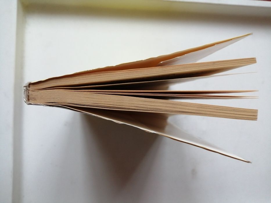 Nowoczesna czarownica - Sarah Lyddon Morrison