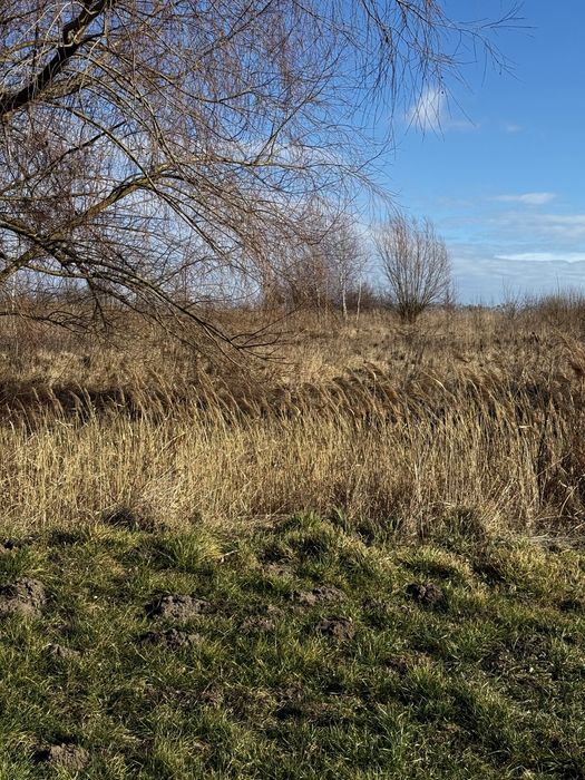 Продаж земельної ділянки с.Гостинцеве