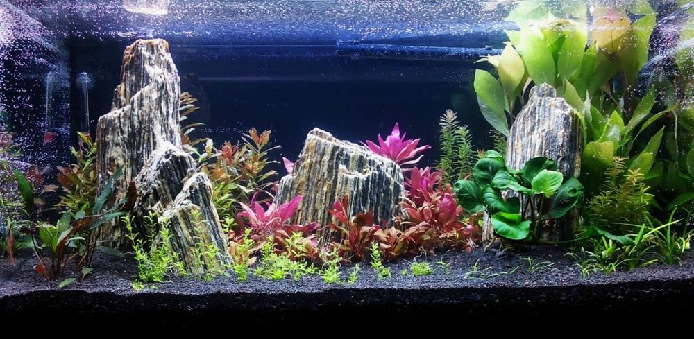 Czarny żwirek 2-5mm do akwarium grys worek 25KG bazalt możliwa wysyłka