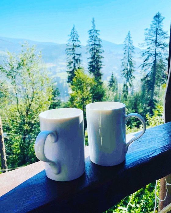 Оренда Будинок , дом, Котедж  буковель сауна