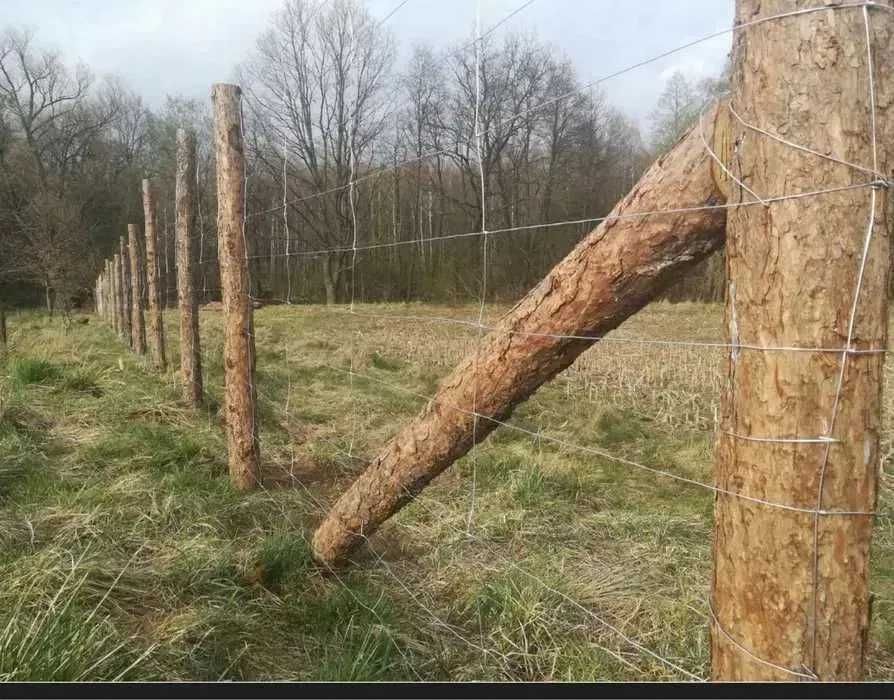 Ogrodzenie z siatki leśnej, budowlane, sadownicze