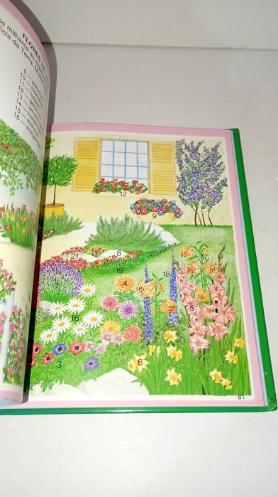 Dicionário por images da Natureza