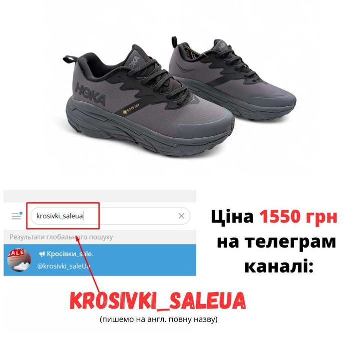 Чоловічі кросівки термо Hoka Challenger One One Gore-tex