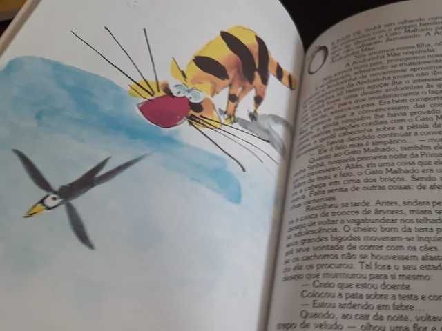 O Gato Malhado e a Andorinha Sinhá | Jorge Amado