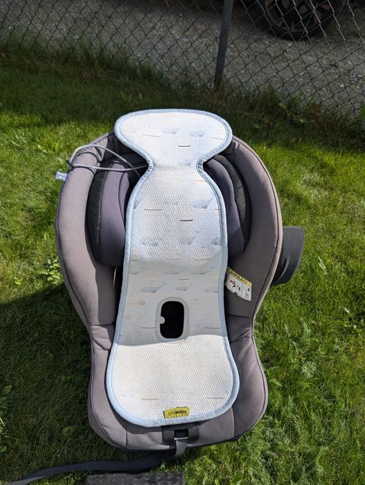 Fotelik samochodowy rwf