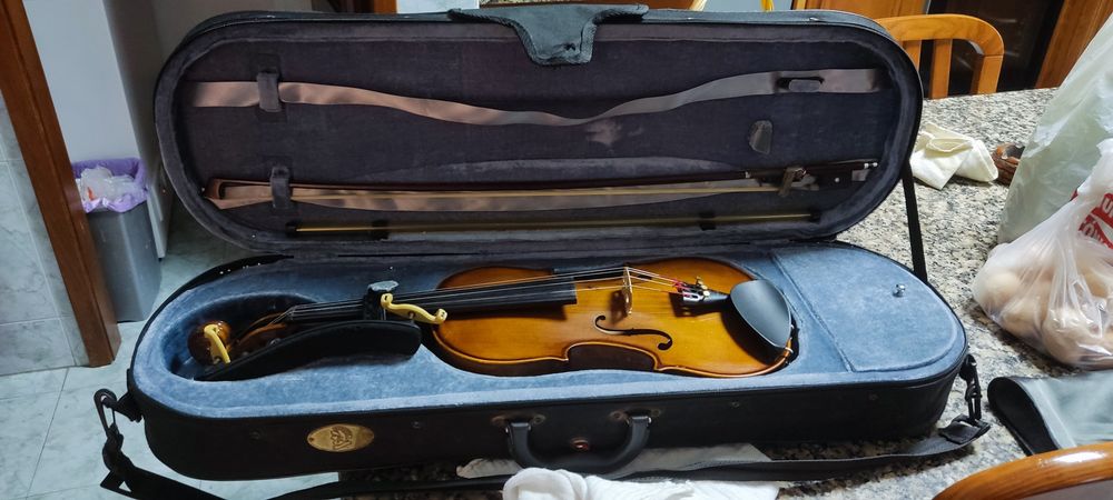 Viola de arco stentor