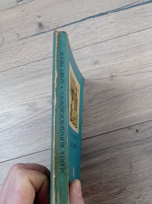 proch” autorstwa Marii Rodziewiczówny.