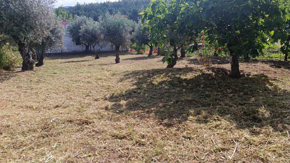 Terreno Urbano para Construção