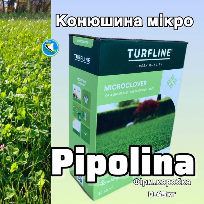 Газон Газонний комплекс/ микро клевер Конюшина біла Піполіна Рівендел