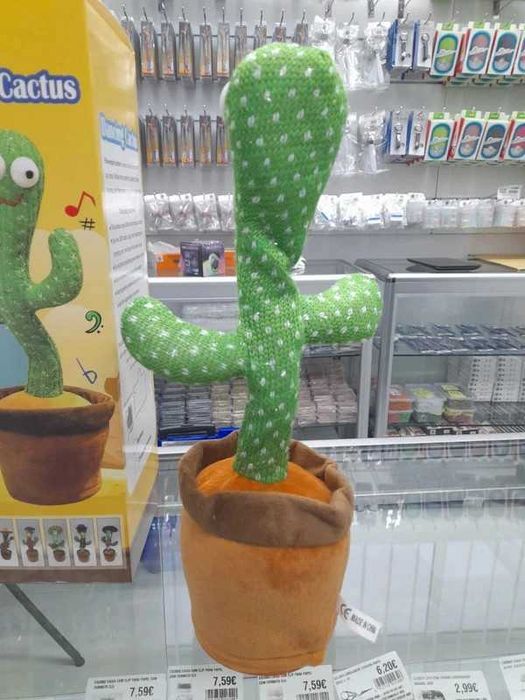 Cacto Dançante e Imitador de Voz NOVOS